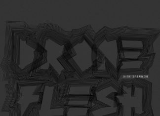 Drone Flesh - Potential Paradox