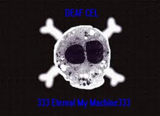 Deaf Cel - So Wrong, So Right