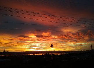 Terry Martin - Passing Thoughts