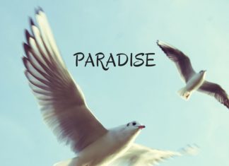 FAYBLE - Paradise