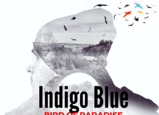 Indigo Blue - Bird of Paradise