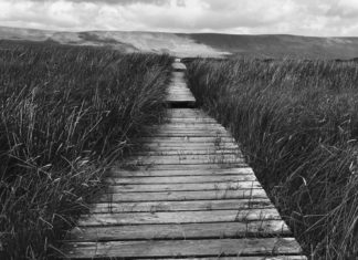 Benjamin - Close Enough