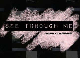 HoneyChrome - See Through Me