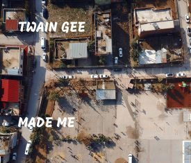 Twain Gee - Made Me