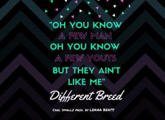 Carl Smallz - Different Breed