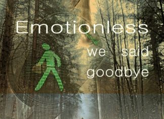 hooyoosay - Emotionless We Said Goodbye