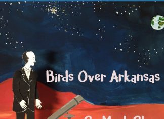 Birds Over Arkansas - So Much Sky