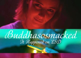 buddha.sos - It Happened on LSD