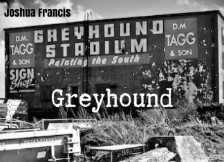 Joshua Francis - Greyhound