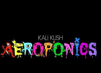 Kali Kush - What Id Do