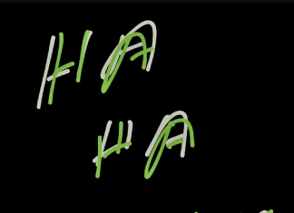 Ha Ha Mantis - Introducing Ha Ha Mantis