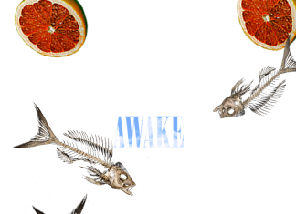 Wayne Walker - Awake