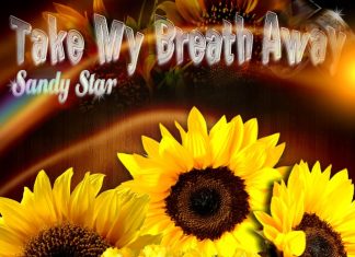 Sandy Star - Take My Breath Away