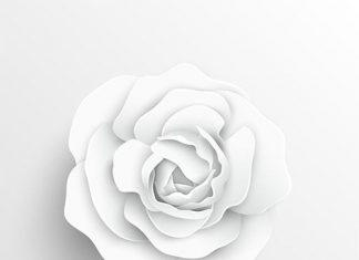 LirixapiL - Realizationss (Order of the White Lotus)