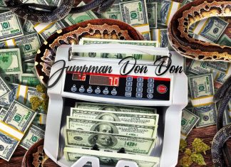 Jumpman Don Don - PACK$ & SNAKES