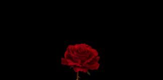 Weslie Garrett - Dead Roses