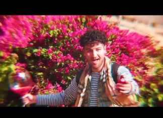 Swankie - Blood Type feat. xAAy