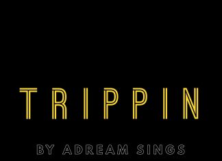 ADream Sings - Trippin