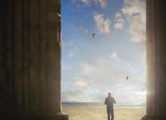 The Paradise Reals - Revolution