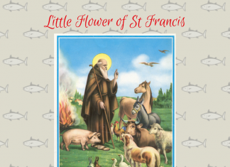 Joshua Francis - Little Flower of St Francis