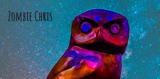 Zombie Chris - Owl Activities