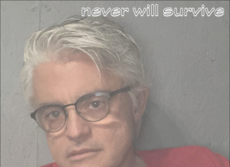 Gc Boy - Never Will Survive