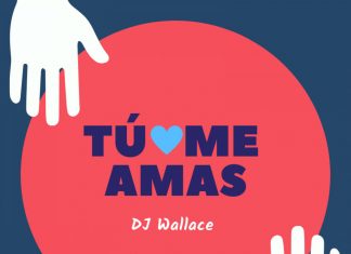 Dj Wallace - Tú Me Amas