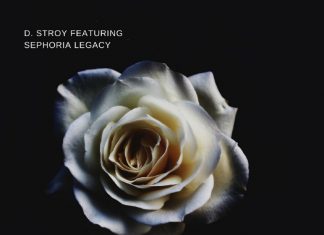D. Stroy - Amazing featuring Sephoria Legacy
