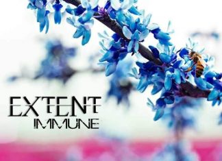 Extent - Immune
