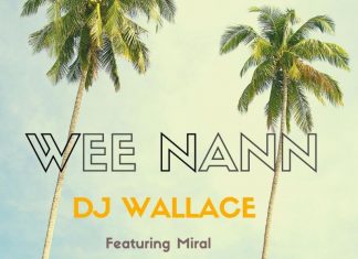 Dj Wallace - Wee Nann