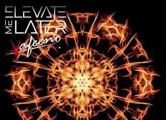 Elevate Me Later - Incinerated