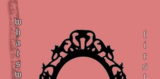 Whatswronglu - First Year