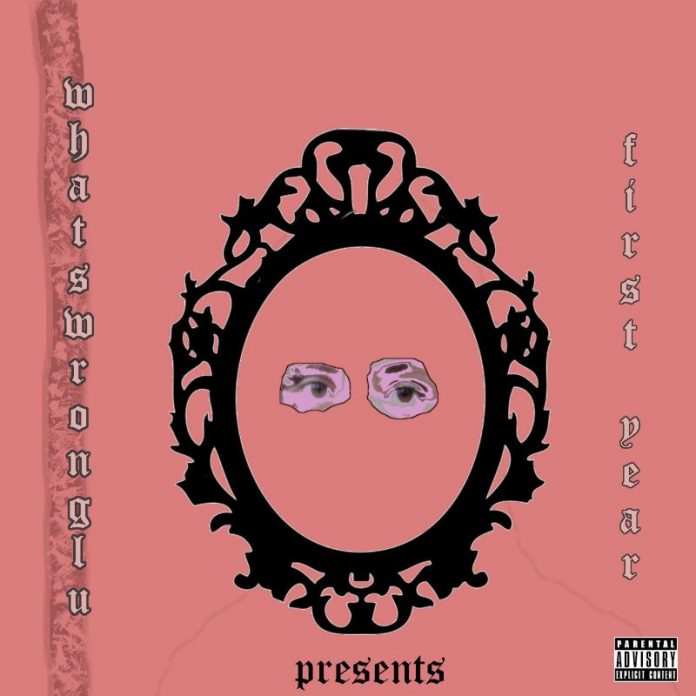 Whatswronglu - First Year