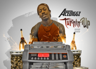 Ace Diggz - Turnin Up