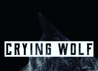 Hannah Lynn - Crying wolf