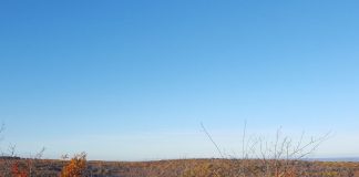 W.T.A.F - My Existence