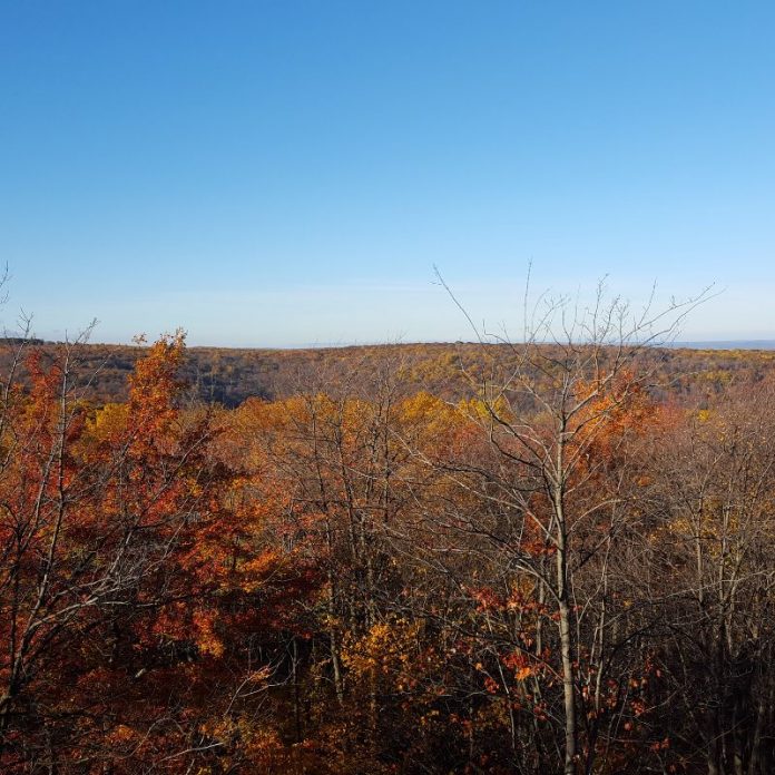 W.T.A.F - My Existence