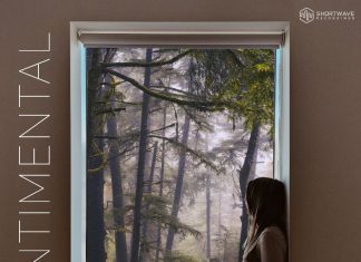 DariusX - Sentimental