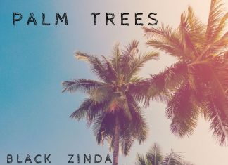 Black Zinda - Palm Trees