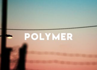 Polymer - Believers