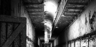 DanStatus - Return Of The Hardcore