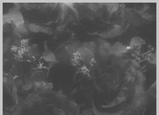 Camlann - The Arrival