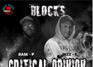 DIZZ-E and BASE-P, Critical Opinion - Blocks