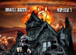 Hooli Auto & Spice 1 - The Itty Bitty City