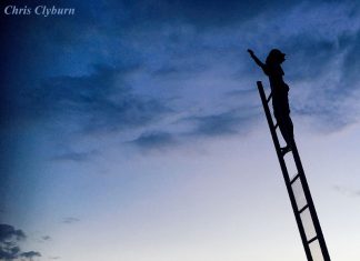 Chris Clyburn - Cherry Blossoms