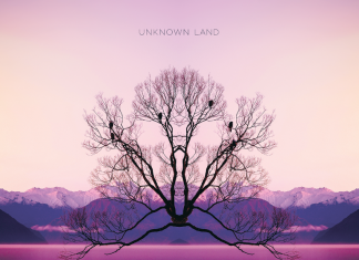 Unknown Land - Cathedral