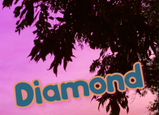 Bagger Boy - Diamond