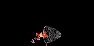 King Syrus - Butterfly Net