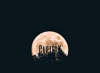 CarterK - Let's Waste the Night