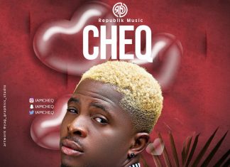 Cheq - Love in the dark